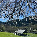 Aurinia 홈스테이 *