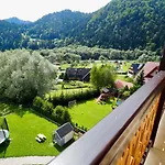 Aurinia Kwatera prywatna Szczawnica