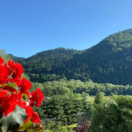 Kwatera prywatna Aurinia Szczawnica