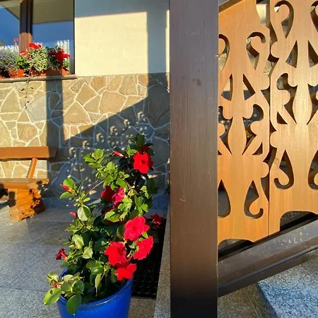 Aurinia Kwatera prywatna *