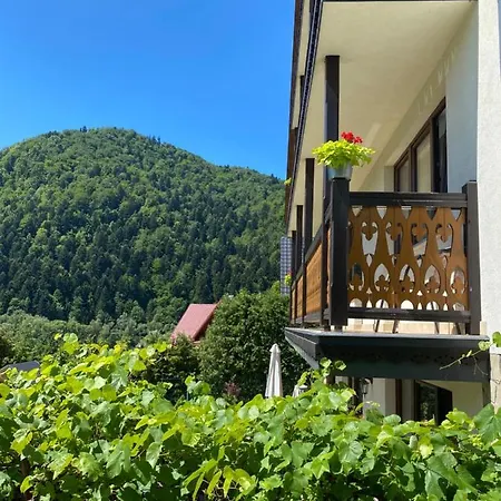 Aurinia Kwatera prywatna *