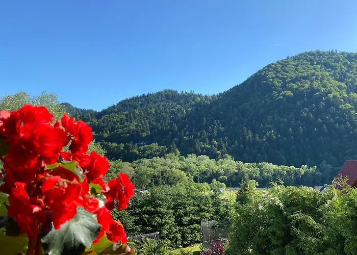 Ubytování v soukromí Aurinia Szczawnica