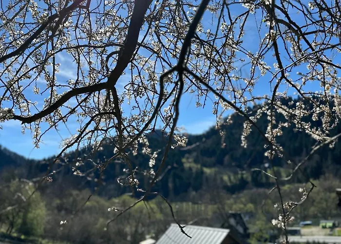 Aurinia Ubytování v soukromí *